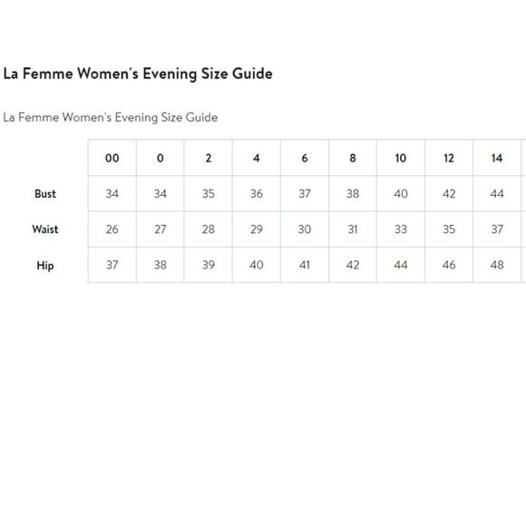 La Femme Long Sleeve Dazzling Tulle Gown #29825 Size 14 - Picture 8 of 8